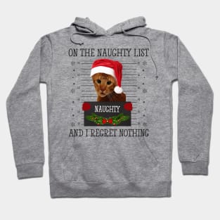 On The Naughty List And I Regret Nothing Hoodie